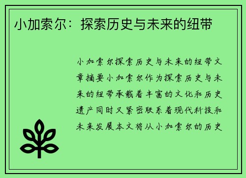 小加索尔：探索历史与未来的纽带