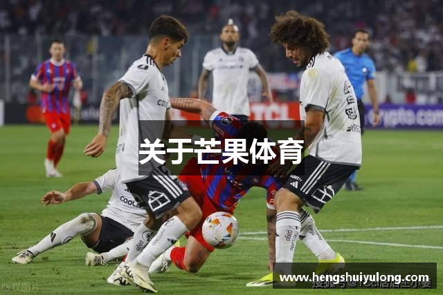 关于芒果体育